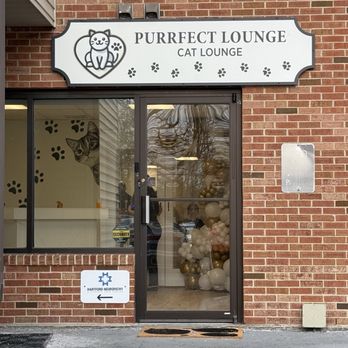 Purrfect Lounge - Store front - Pet Adoption Near Me - Plainville, Connecticut Purrfect Lounge - Store front - Pet Adoption Near Me - Plainville, Connecticut