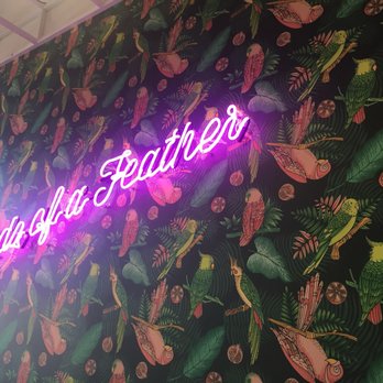Parakeet Cafe - La Jolla - Coffee & Tea Near Me - La Jolla, California