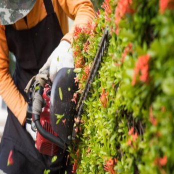 Richter's Services - Landscaping Near Me - Houston, Texas Richter's Services - Landscaping Near Me - Houston, Texas