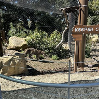 Orange County Zoo - Animals - Zoos Near Me - Orange, California Orange County Zoo - Animals - Zoos Near Me - Orange, California