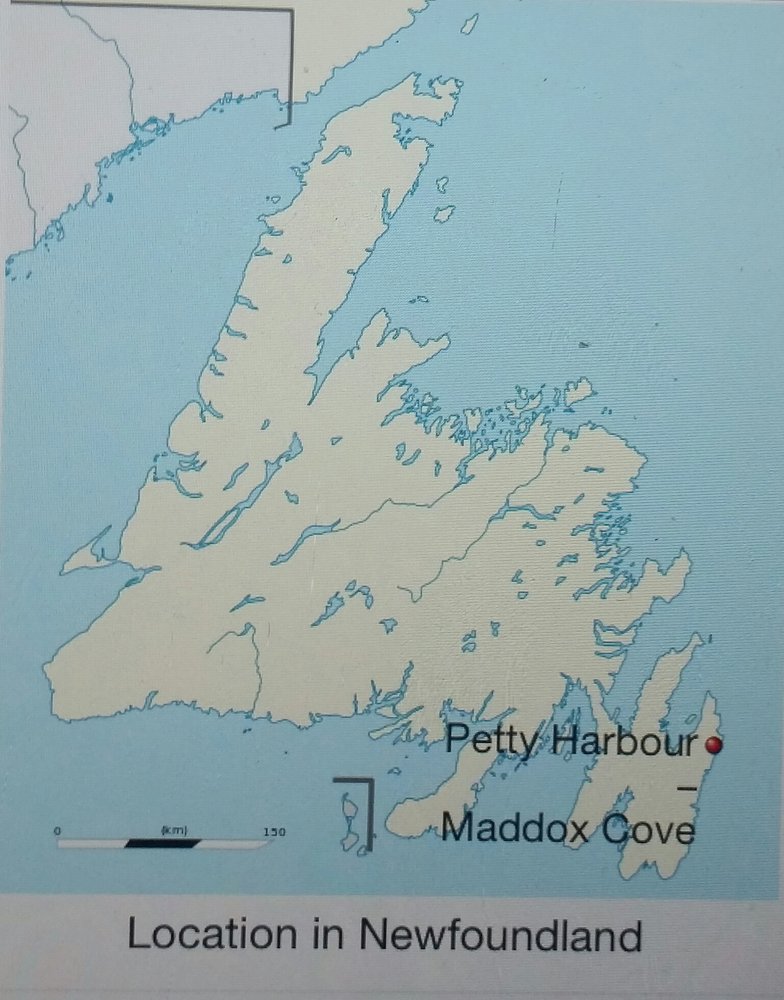 Petty Harbour Newfoundland Map Petty Harbour - Aquariums - 35 Southside Road, Petty Harbour-Maddox Cove, Nl  - Phone Number - Yelp