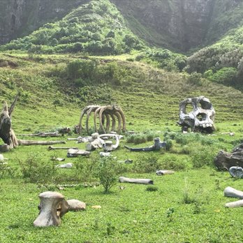 Kualoa Ranch - Tours Near Me - Kaneohe, Hawaii Kualoa Ranch - Tours Near Me - Kaneohe, Hawaii