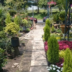 Vivero Satelite