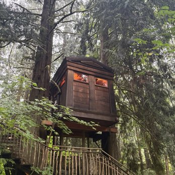 TreeHouse Point - Treehouse - Bed & Breakfast Near Me - Issaquah, Washington
