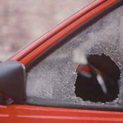 Sarasota Auto Glass - Driver's front side window