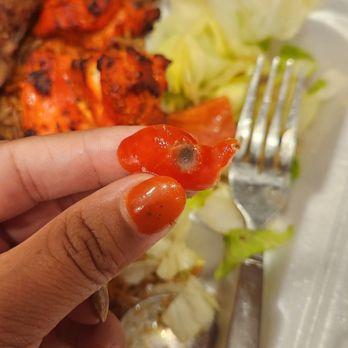 Shahi Kabob & Catering - Mold on the bell pepper in the salad. - Halal Near Me - Woodbridge, Virginia Shahi Kabob & Catering - Mold on the bell pepper in the salad. - Halal Near Me - Woodbridge, Virginia