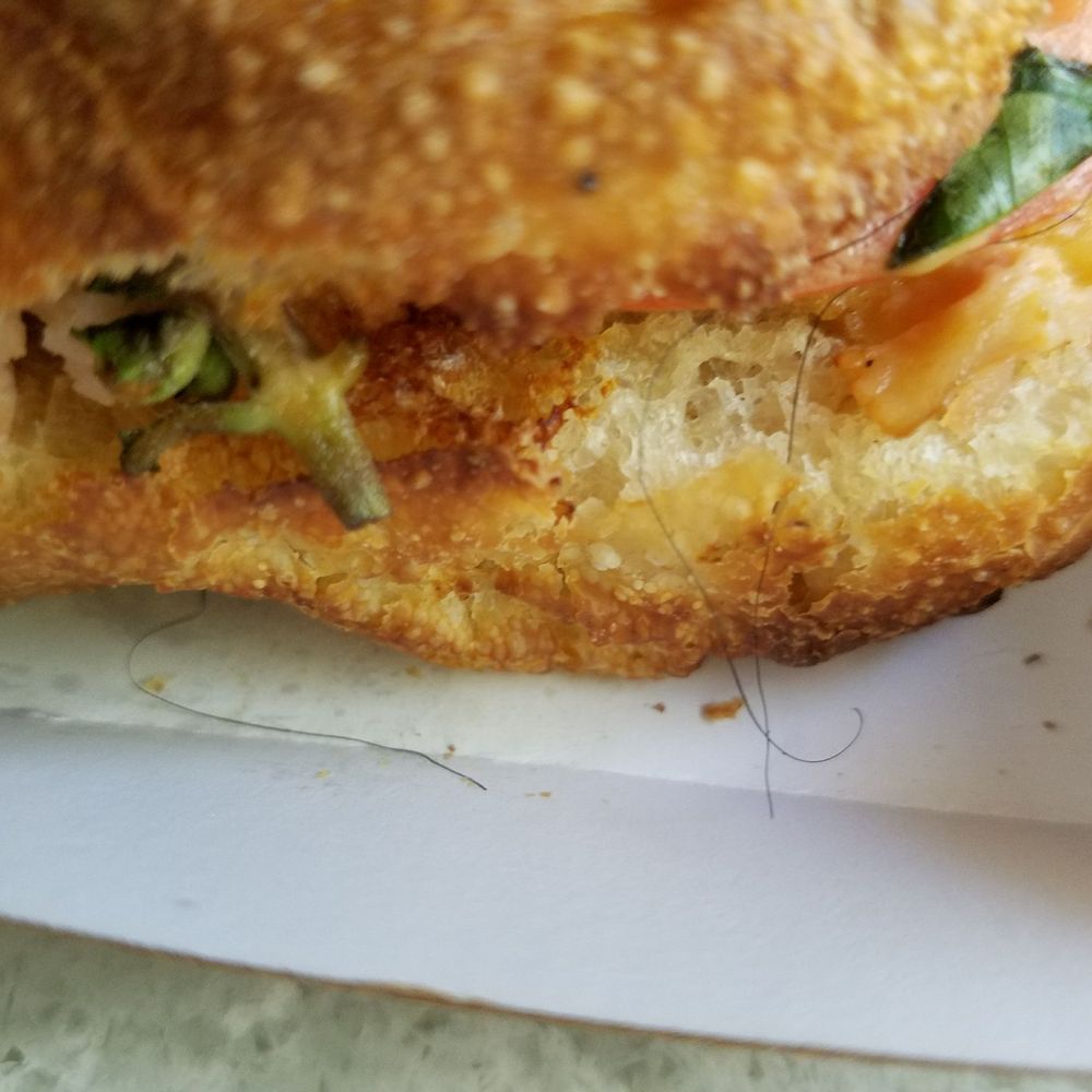 Panera Bread - Hey, thanks for sending my husband out the door with this disgusting display of sabotage! I'll be bringing this back to you tomorrow - Sandwiches Near Me - Charlotte, North Carolina Panera Bread - Hey, thanks for sending my husband out the door with this disgusting display of sabotage! I'll be bringing this back to you tomorrow - Sandwiches Near Me - Charlotte, North Carolina