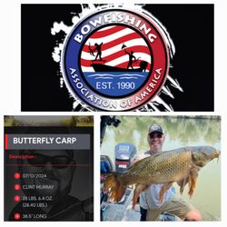 Grinz N Finz Bow Fishing - World record butterfly carp.