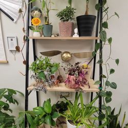 The Studio Ligaya - Studio decor - super welcoming and clean