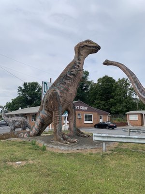 Dinosaur Land by null
