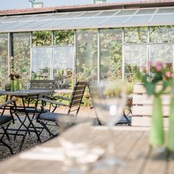 Schlossparkcafé - Terrasse mit Blick auf Café