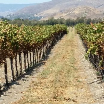 Let Me Drive U - Wine Tours Near Me Let Me Drive U - Wine Tours Near Me