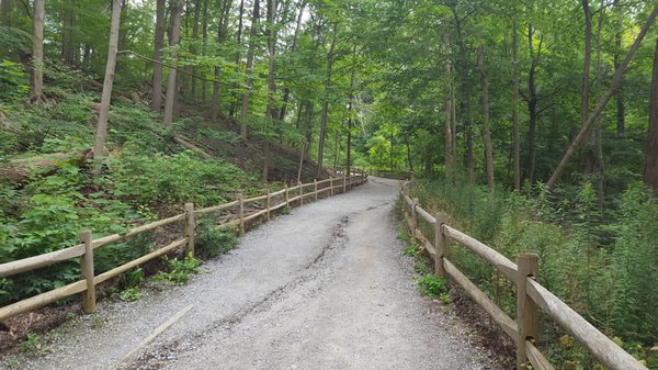 David A. Balfour Park by null