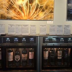 Some good choices to taste