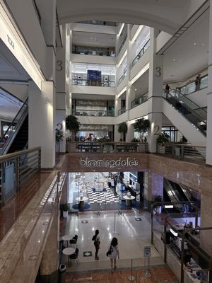 900 North Michigan Shops by null