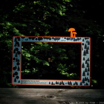 Baumwipfelpfad Steigerwald - real virtuality - onlinspiele im Wald (06/2018) - Hiking Near Me - Ebracher Forst, BY