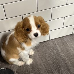 Poor little guy. Poor little guy.