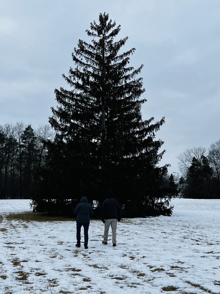 BOULAN PARK Updated November 2024 40 Photos 1898 Boulan Park Dr