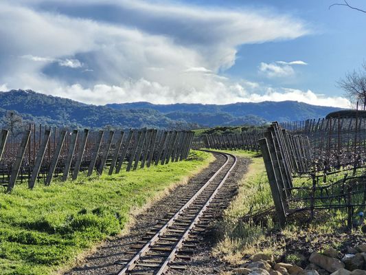Halter Ranch by null