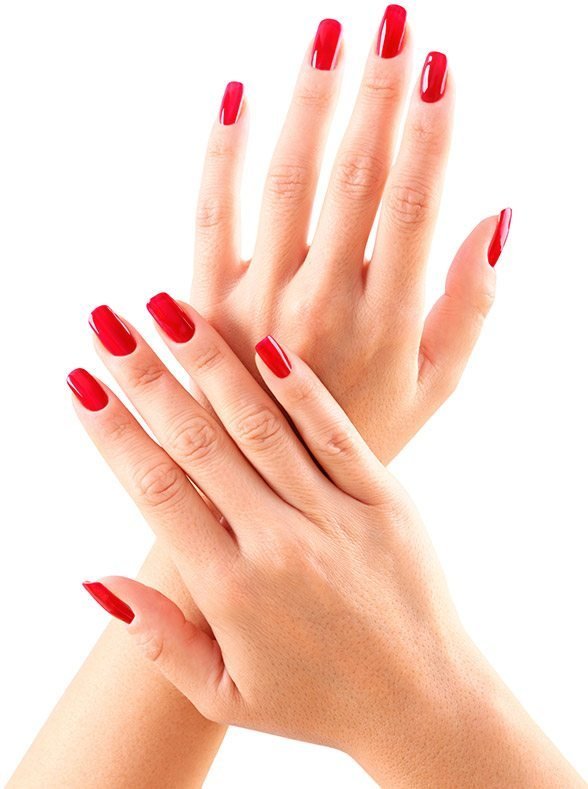 Amy Nails & Beauty Logo