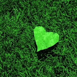 A P&T Cab LLC - A P&T Cab loves you RVA!!!!