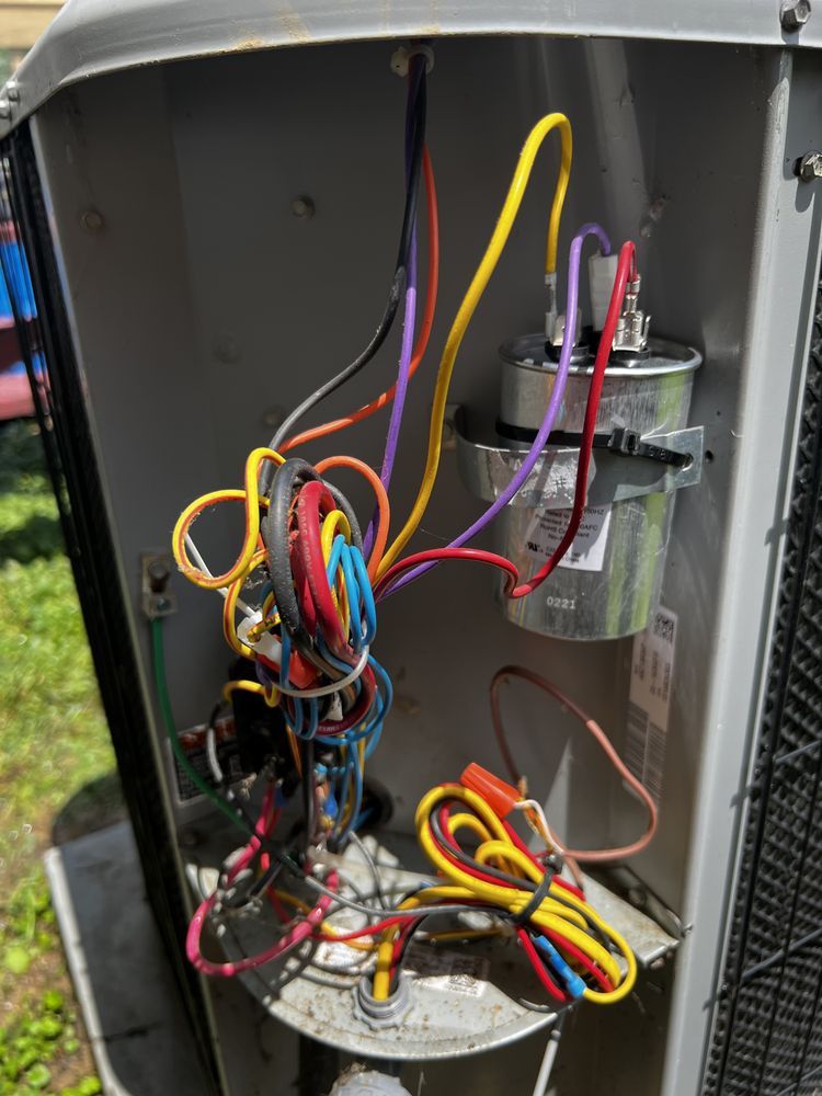 Slide of Dion's Complete