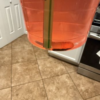 Dutch Bros Coffee - Nasty fingernail in a Dutch Bros lemonade! - Coffee & Tea Near Me - Tucson, Arizona Dutch Bros Coffee - Nasty fingernail in a Dutch Bros lemonade! - Coffee & Tea Near Me - Tucson, Arizona