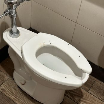 Wendy's - Disgusting bathroom - Burgers Near Me - Brigham City, Utah Wendy's - Disgusting bathroom - Burgers Near Me - Brigham City, Utah