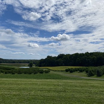 Lewis Orchards - Fruits & Veggies Near Me - Dickerson, Maryland
