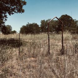 James Gilleland Cemetery - The only visible mark that a graveyard even exists.