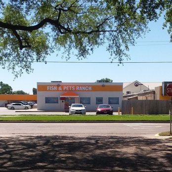 Fish & Pets Ranch - Local Fish Stores Near Me - Houston, Texas Fish & Pets Ranch - Local Fish Stores Near Me - Houston, Texas