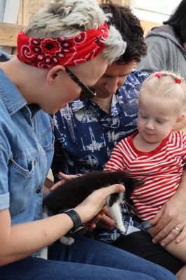 Swans Trail Farms by null