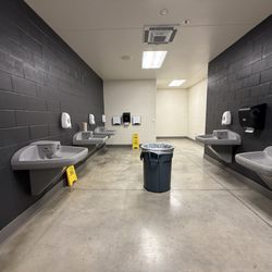 The Pfield - Women's bathroom
