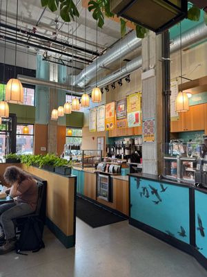 Colectivo Coffee Ravenswood by null