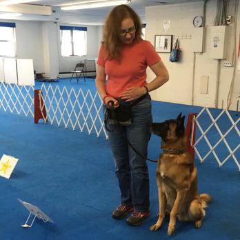 Harmony Dog Training - Malinois Rally - Pet Training Near Me - New York, New York
