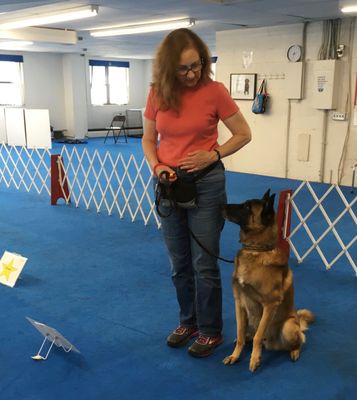 MANNERS, OBEDIENCE & MORE - Private instruction, tailored to you and your dog’s needs. Just brought home your first puppy or rescue dog? Struggling with leash walking or coming when called? Ready to go beyond the basics and work toward real-life reliability? Interested in trick training or dog sports? Harmony Dog Training can help you meet your goals. Call or text for more information! MANNERS, OBEDIENCE & MORE - Private instruction, tailored to you and your dog’s needs. Just brought home your first puppy or rescue dog? Struggling with leash walking or coming when called? Ready to go beyond the basics and work toward real-life reliability? Interested in trick training or dog sports? Harmony Dog Training can help you meet your goals. Call or text for more information!