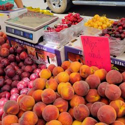 Sparks United Methodist Church Farmers' Market - Peaches. Apricots, and berries