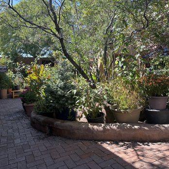 Blackbird Coffee House - Coffee & Tea Near Me - Albuquerque, New Mexico
