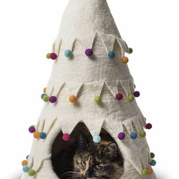 Poochie Moochie - Pet Stores Near Me - Edmonton, Alberta Poochie Moochie - Pet Stores Near Me - Edmonton, Alberta