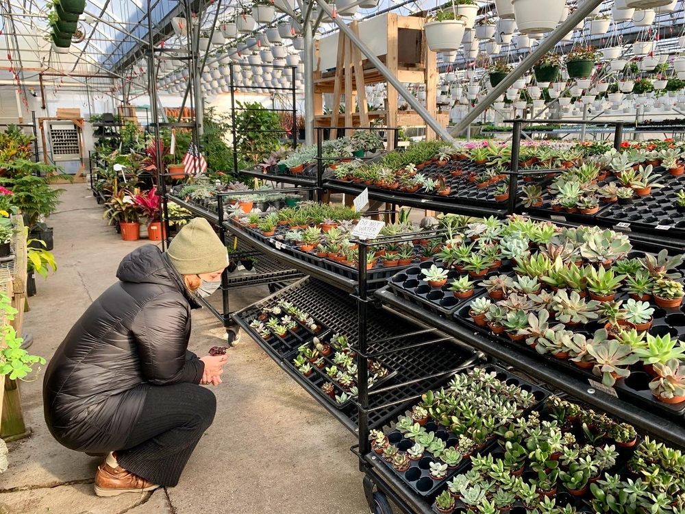 BROADWAY GARDENS GREENHOUSES 53 Photos & 21 Reviews Nurseries & Gardening 1640 Broadway