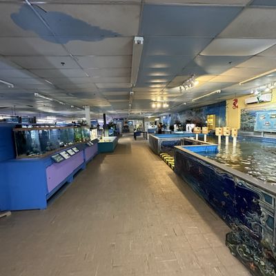 Biomes Marine Biology Center by null