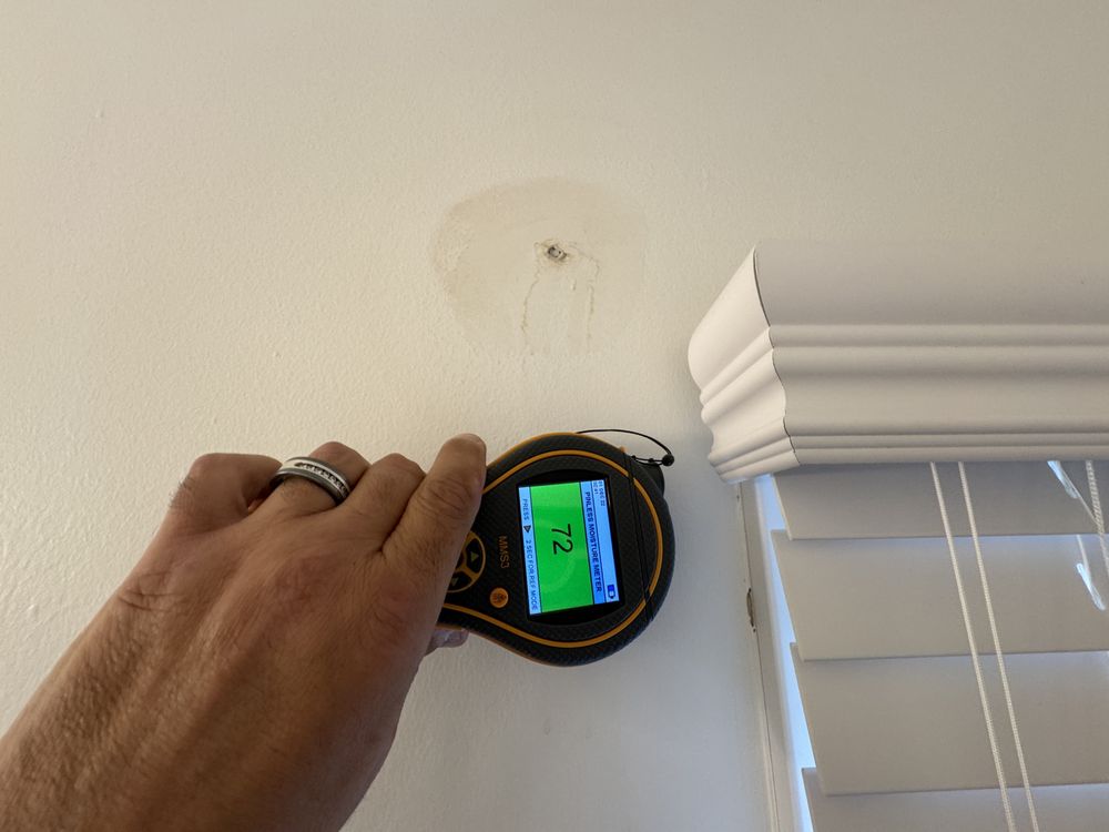 Protocol Mold Testing - mold inspector in West Bloomfield, MI