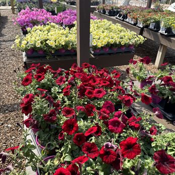 American Landscape - Landscaping Near Me American Landscape - Landscaping Near Me