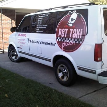Pet Taxi Plus - Pet Sitting Near Me - Ferndale, Michigan Pet Taxi Plus - Pet Sitting Near Me - Ferndale, Michigan