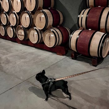 B Cellars Vineyards & Winery - George in the cave - Wineries Near Me - Oakville, California