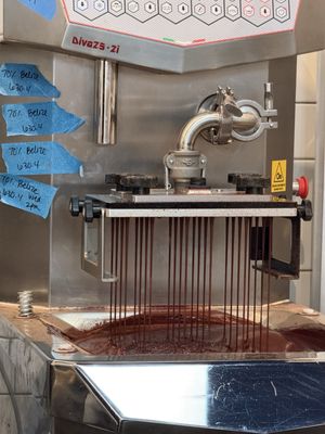 Spinnaker Chocolate by null