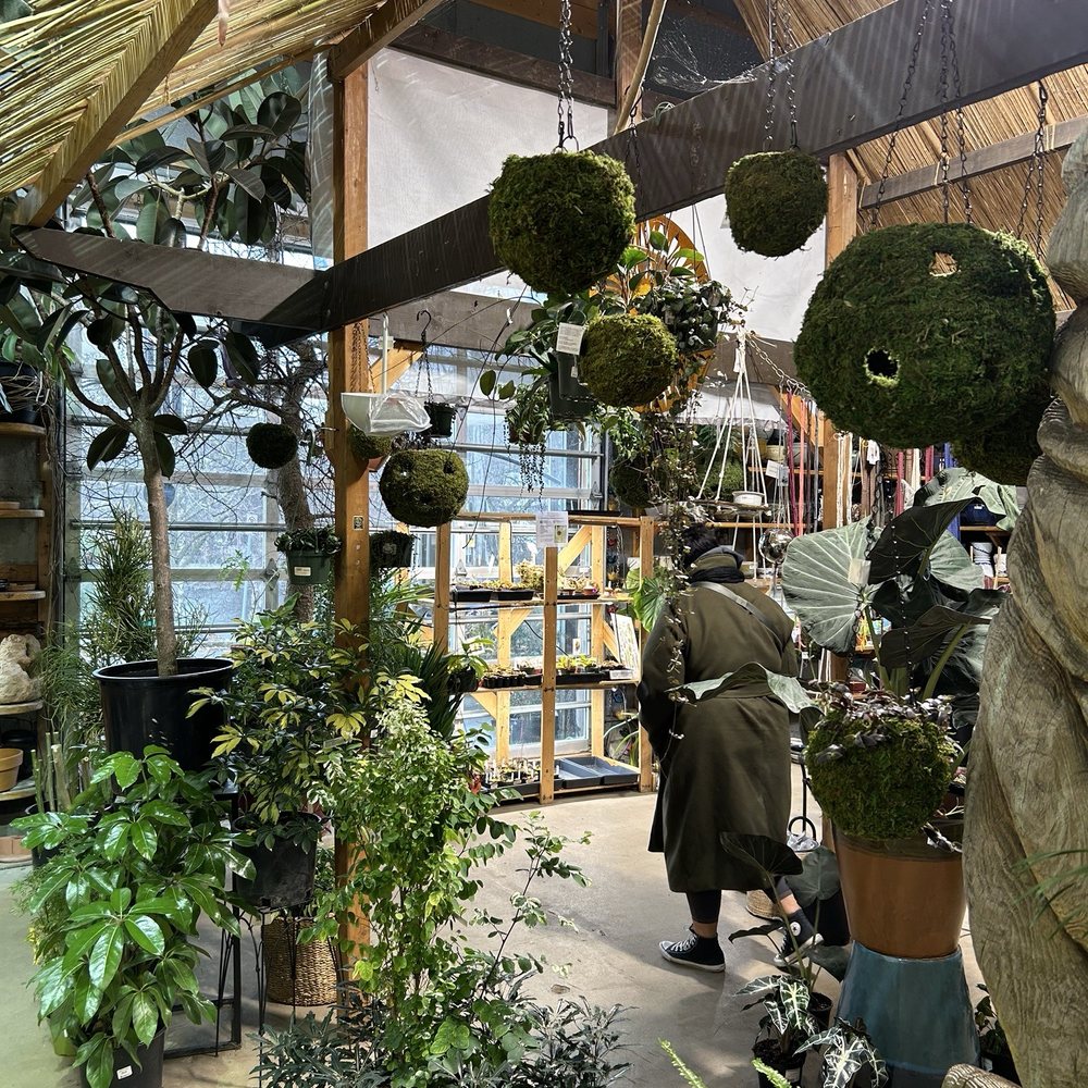 Indoor Sun Shoppe - Nurseries & Gardening Near Me - Seattle, Washington Indoor Sun Shoppe - Nurseries & Gardening Near Me - Seattle, Washington