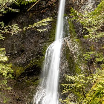 Marymere Falls - Marymere Falls Trail - Olympic National Park - Hiking Near Me - Port Angeles, Washington