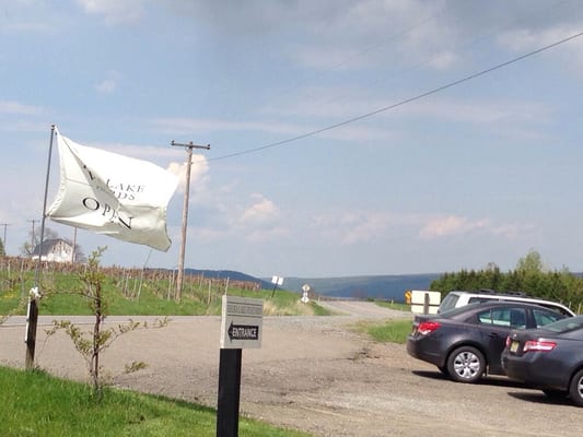 Keuka Lake Vineyards by null