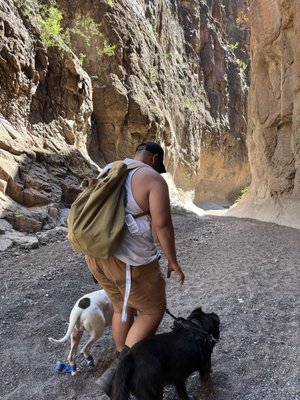 Big Bend Ranch State Park by null